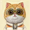 NIMMY ETUI DO IPHONE 16 PRO 6.3 COOL CUTE CAT DESIGN Z OCHRONĄ PRZED ZADARĆ